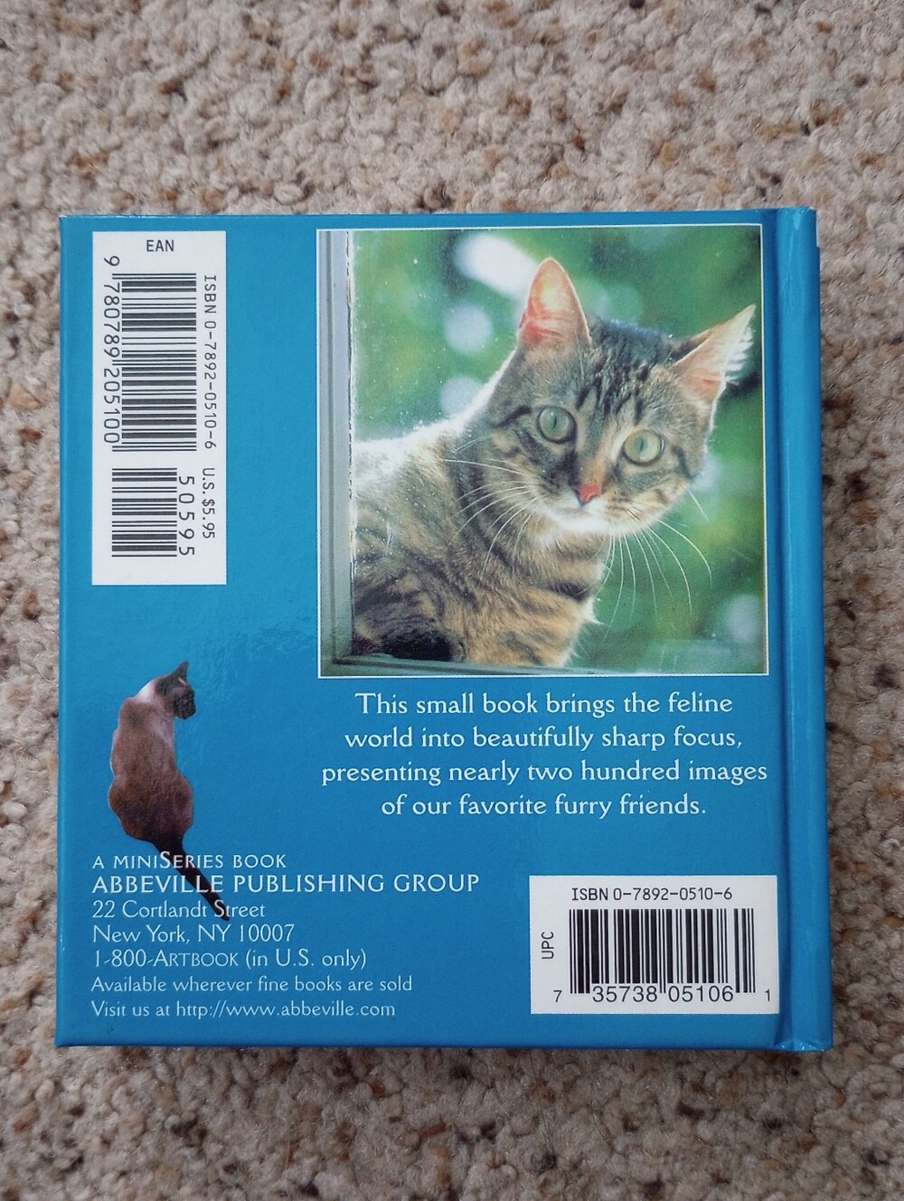 Lot Of Cat Books 5 Total Cats Kittens Cute Pictures Facts - Picture 6 of 13
